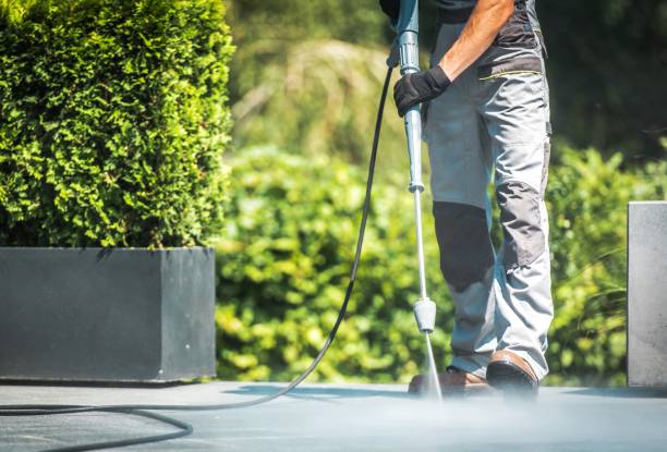 Best Animal Enclosure Cleaning  in Maytown, PA